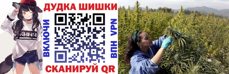 Шишки марихуана SATIVA & INDICA  Новоалександровск 